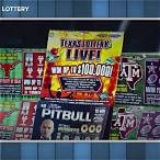 enter losing lottery tickets online